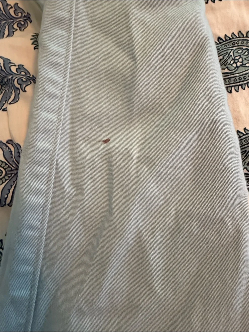 J. Crew Pale Blue Men’s Chino Pants